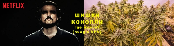 mdpv Богородицк