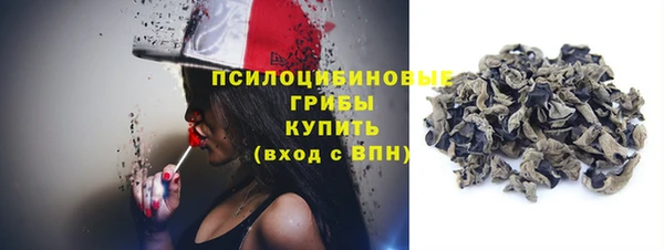 шишки Белокуриха