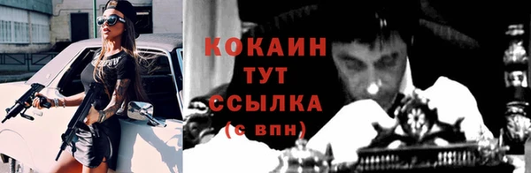 spice Богородск