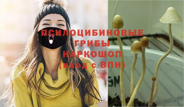 mdpv Богородицк