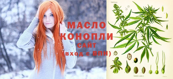 mdpv Богородицк