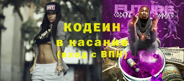 spice Богородск