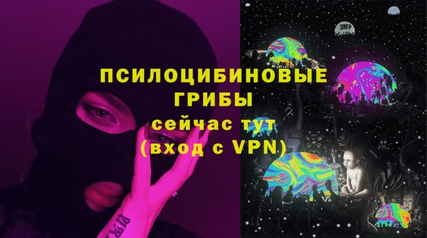 mdpv Богородицк