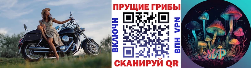 Псилоцибиновые грибы Cubensis  продажа наркотиков  Хабаровск 